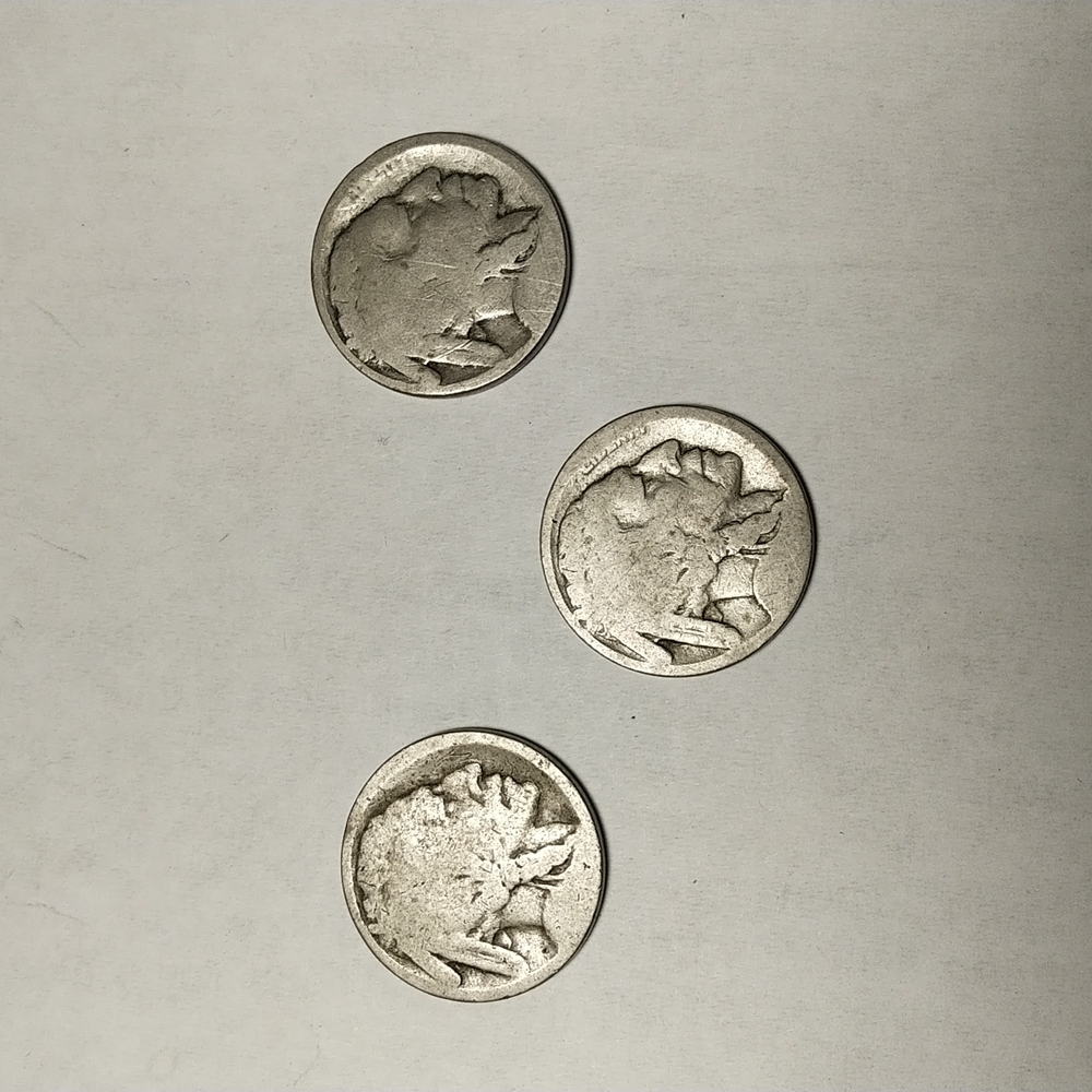 Buffalo nickels (3)  no dates